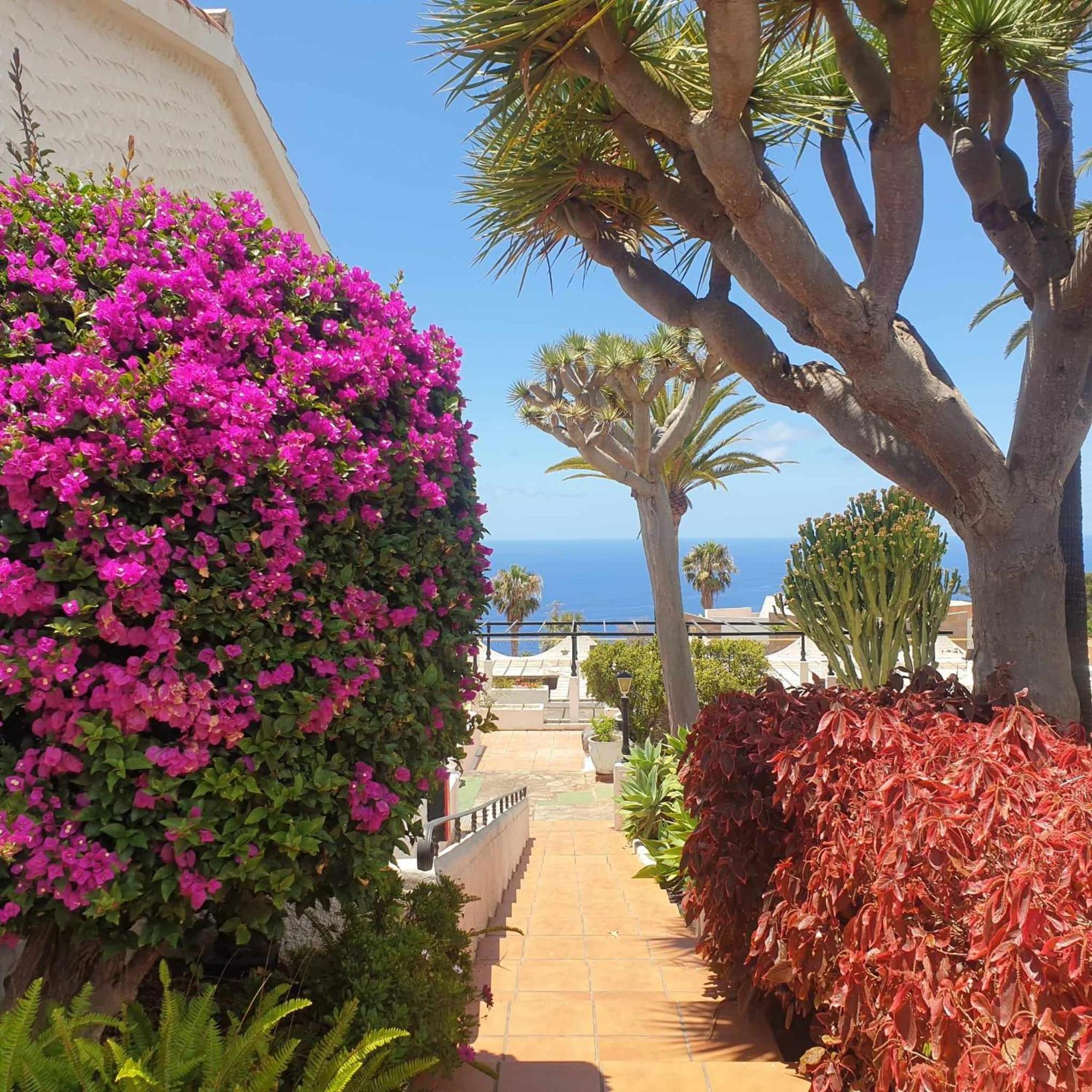 Madre Tierra Apartment Puerto de la Madera Εξωτερικό φωτογραφία